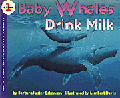 bkwhale.gif (9080 bytes)